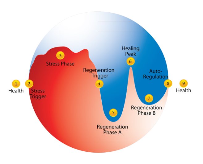 A close up of a logo

Description automatically generated