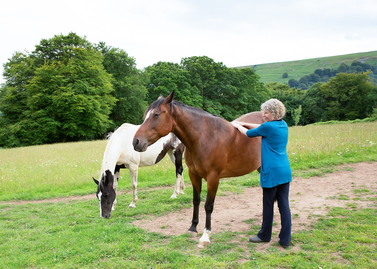 Robyn Harris with the horses at W·I·L·D® Wellbeing