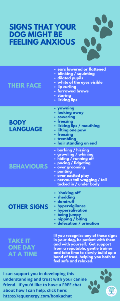 infographic - signs that your dog might be feeling anxious