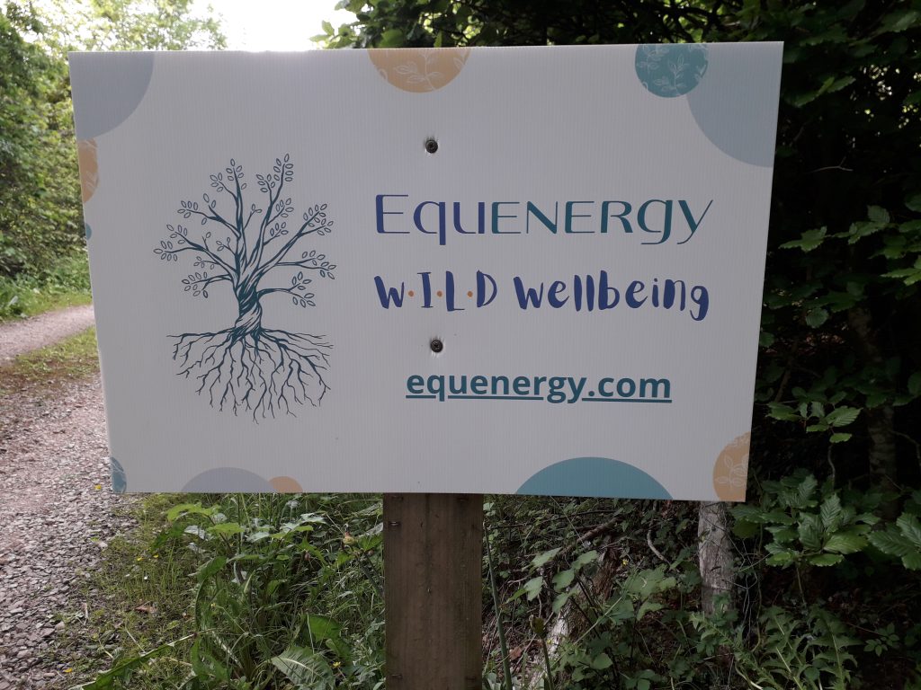 the W·I·L·D® Wellbeing sign marking the entrance on Oak Lane.