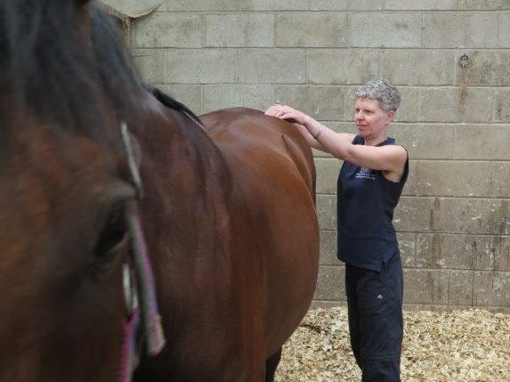 Robyn massaging a horse - working on the rump