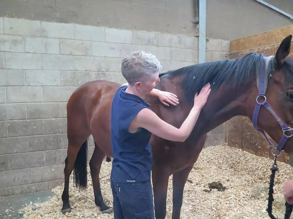 Robyn massaging a horse - working on the neck