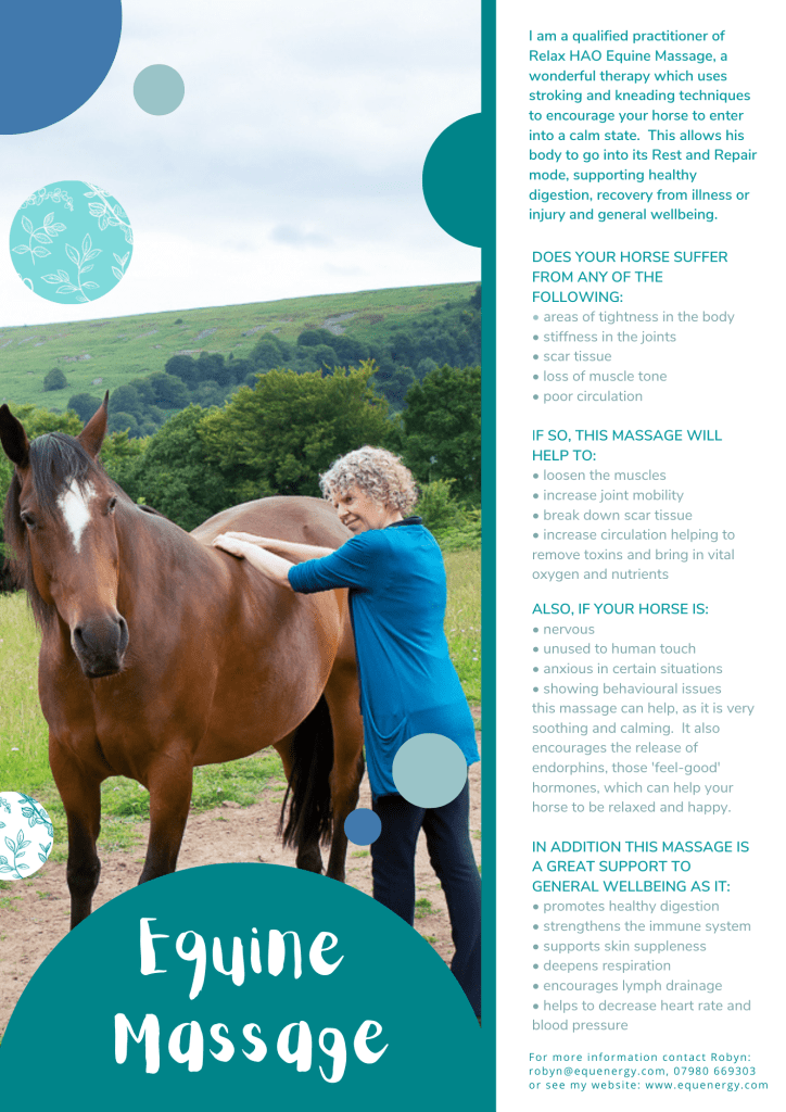 Equine Massage flyer