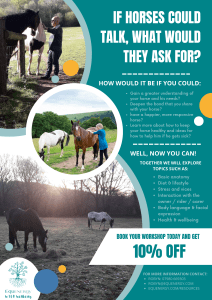Holistic Horse Care - 'If Horses Could Talk' - workshop flyer