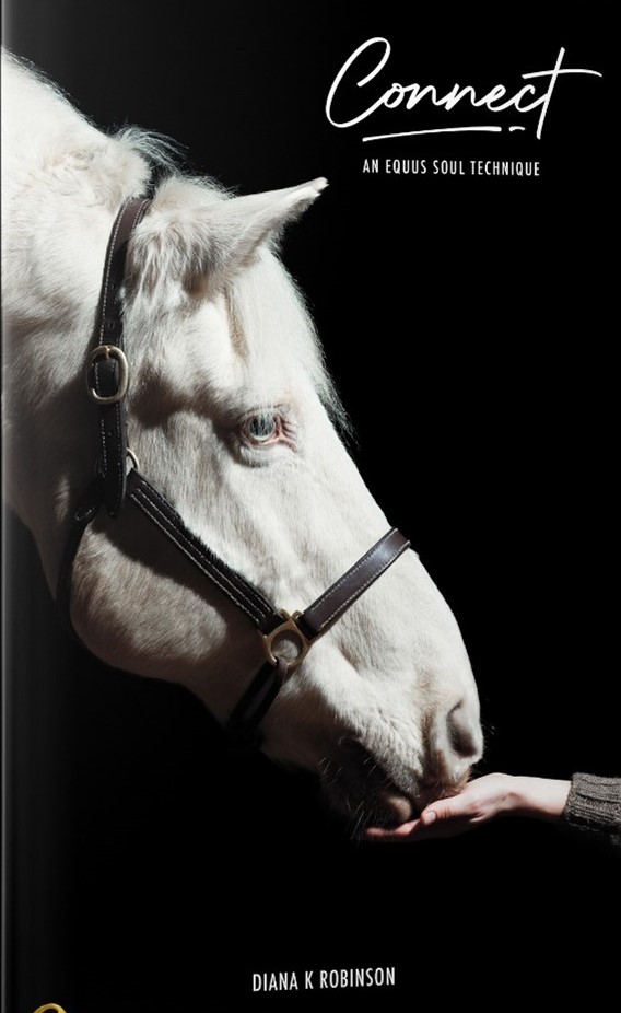 Book - Connect: An Equus Soul Technique