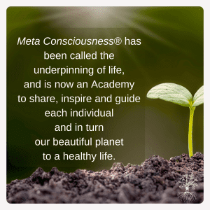 Meta Consciousness® has been called the underpinning of life, and is now an Academy to share, inspire and guide each individual and in turn our beautiful planet to a healthy life.