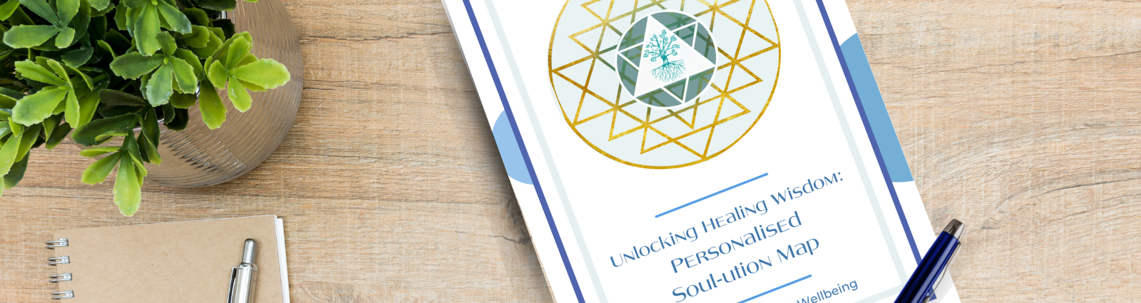 Personalised 'Soul-ution Map' folder - individual forward wellbeing steps 