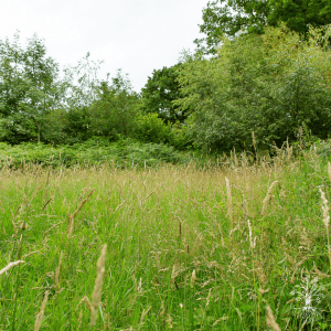 Guided Meditation - Deep Relaxation for Wellbeing