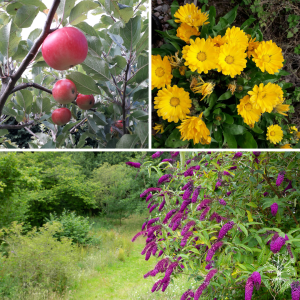 Guided Meditation - Embrace Abundance