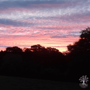 Guided Meditation - Going Within