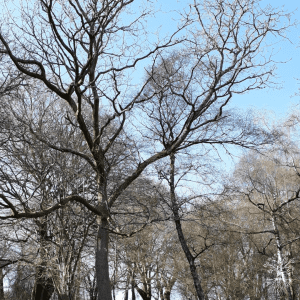 Guided Meditation - Navigate New Beginnings with Ease