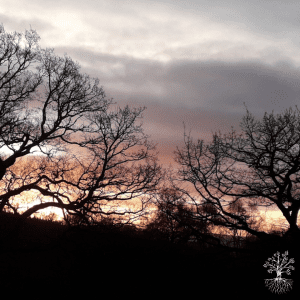 Guided Meditation - New Year