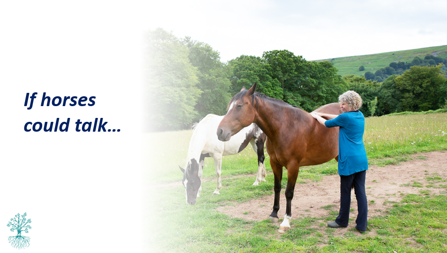 If Horses Could Talk - Holistic Horse Care Series