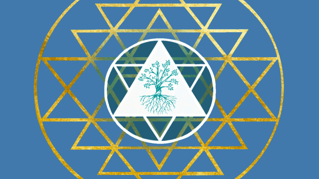 Unlocking Healing Wisdom - An introduction to Meta Consciousness® 