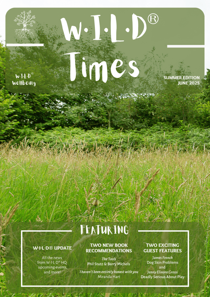 an image of the Summer 2025 newsletter